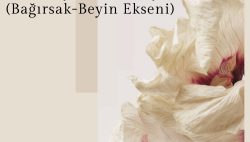 Popüler yaklaşımların ötesinde mikrobiyota ve ruh sağlığı ile ilişkisi