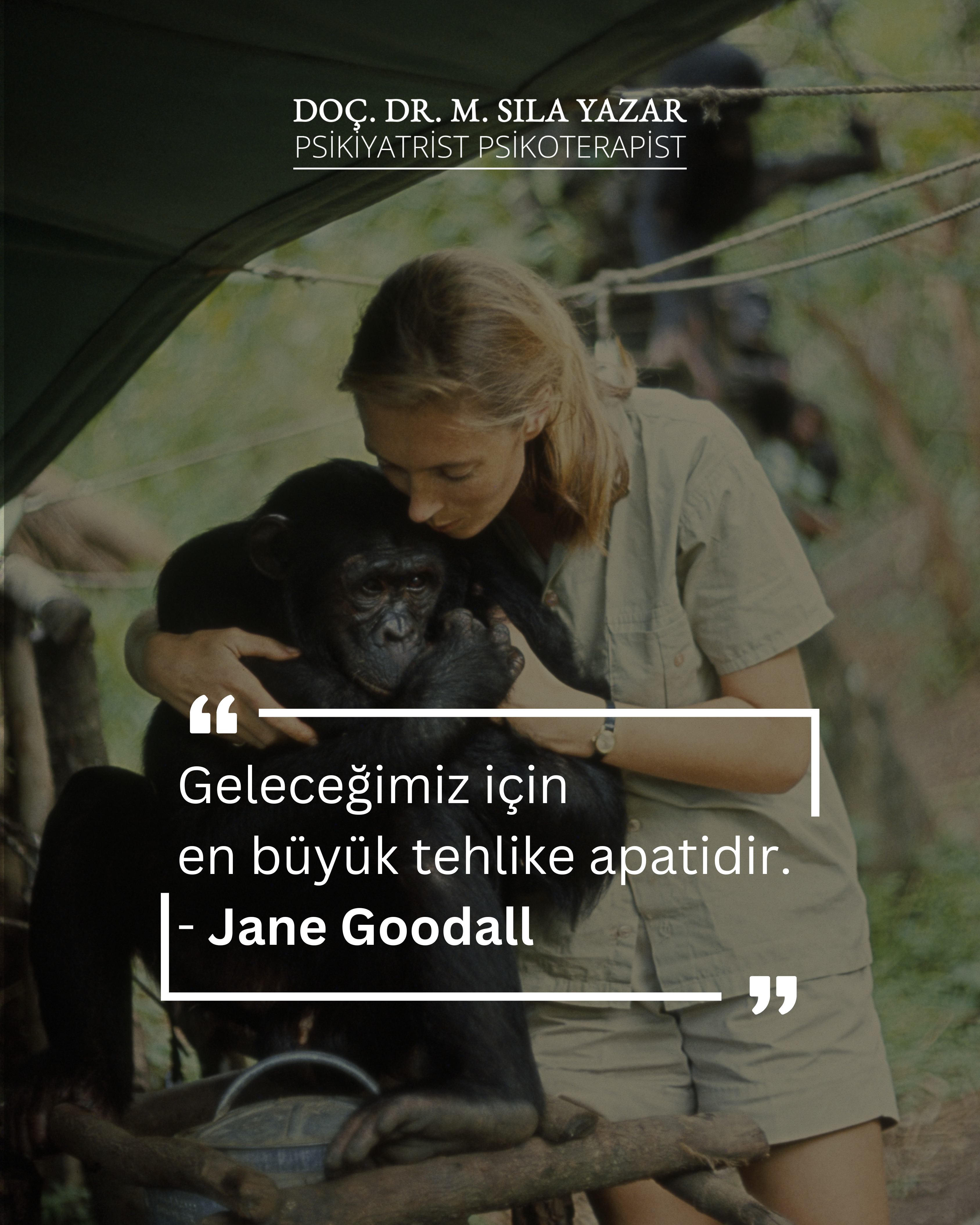 Jane Goodall