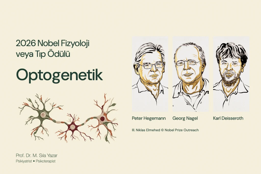 Nobel 2026: Optogenetik